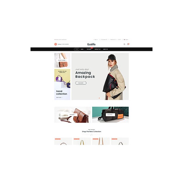 eCommerce Pro 10